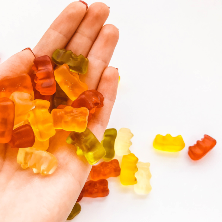 Homemade Fruit Snacks